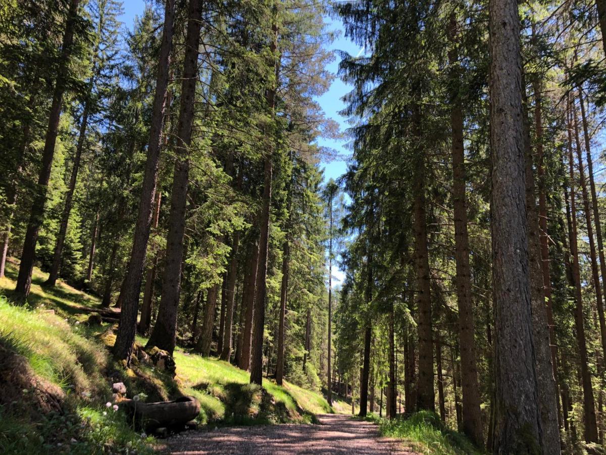 B&B Le Stagioni Di Stava Tesero Exteriér fotografie