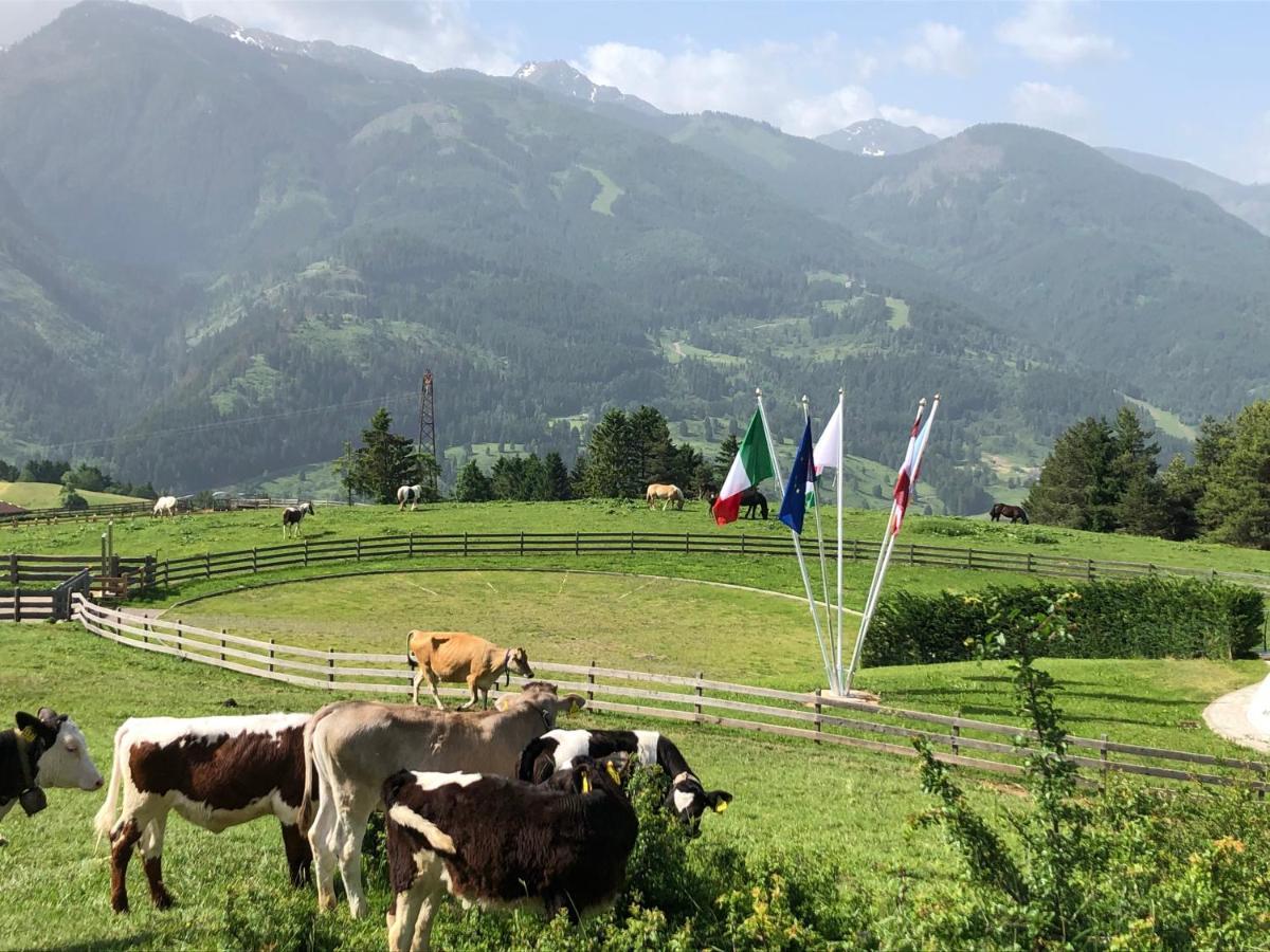 B&B Le Stagioni Di Stava Tesero Exteriér fotografie