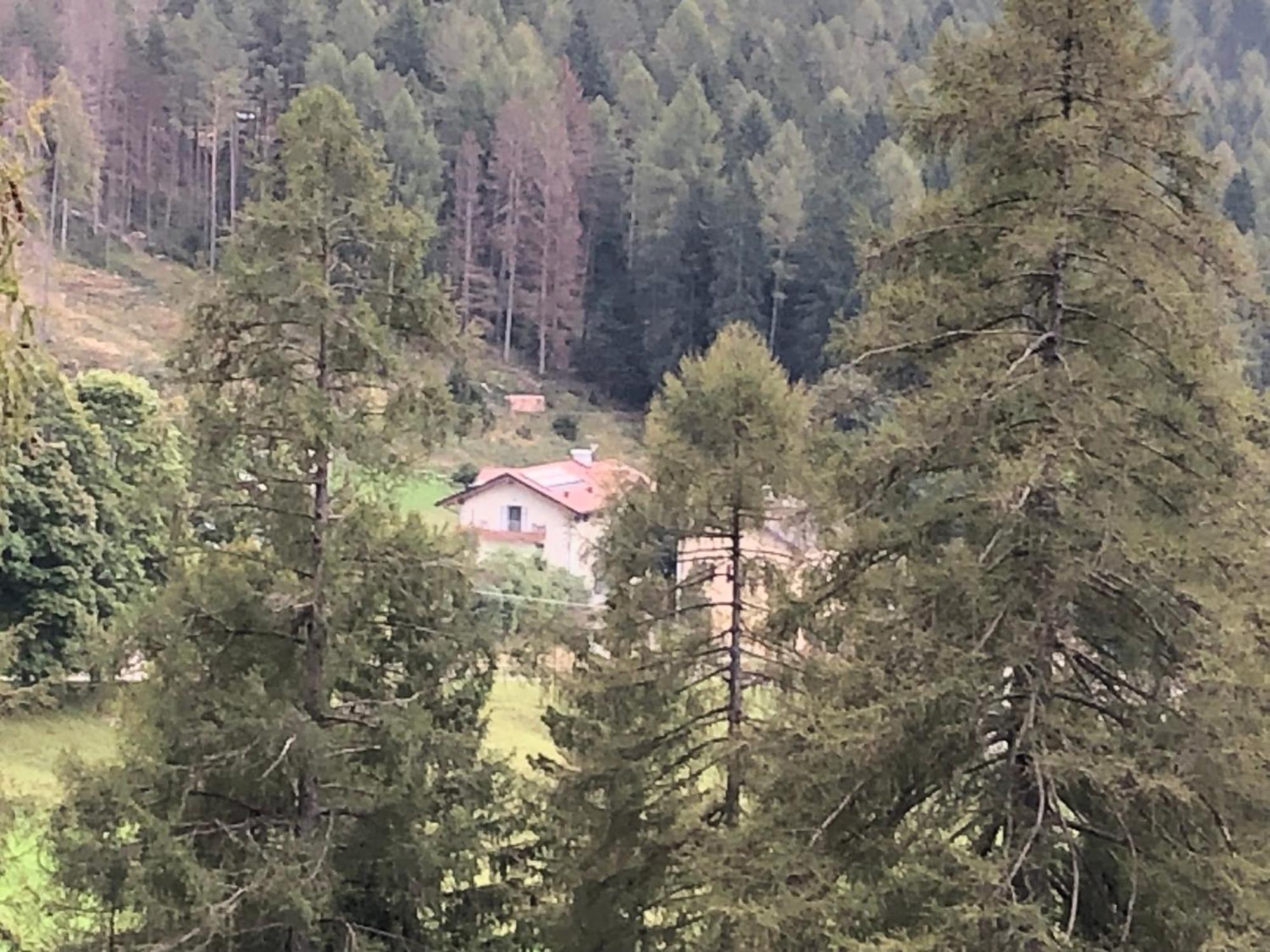 B&B Le Stagioni Di Stava Tesero Exteriér fotografie