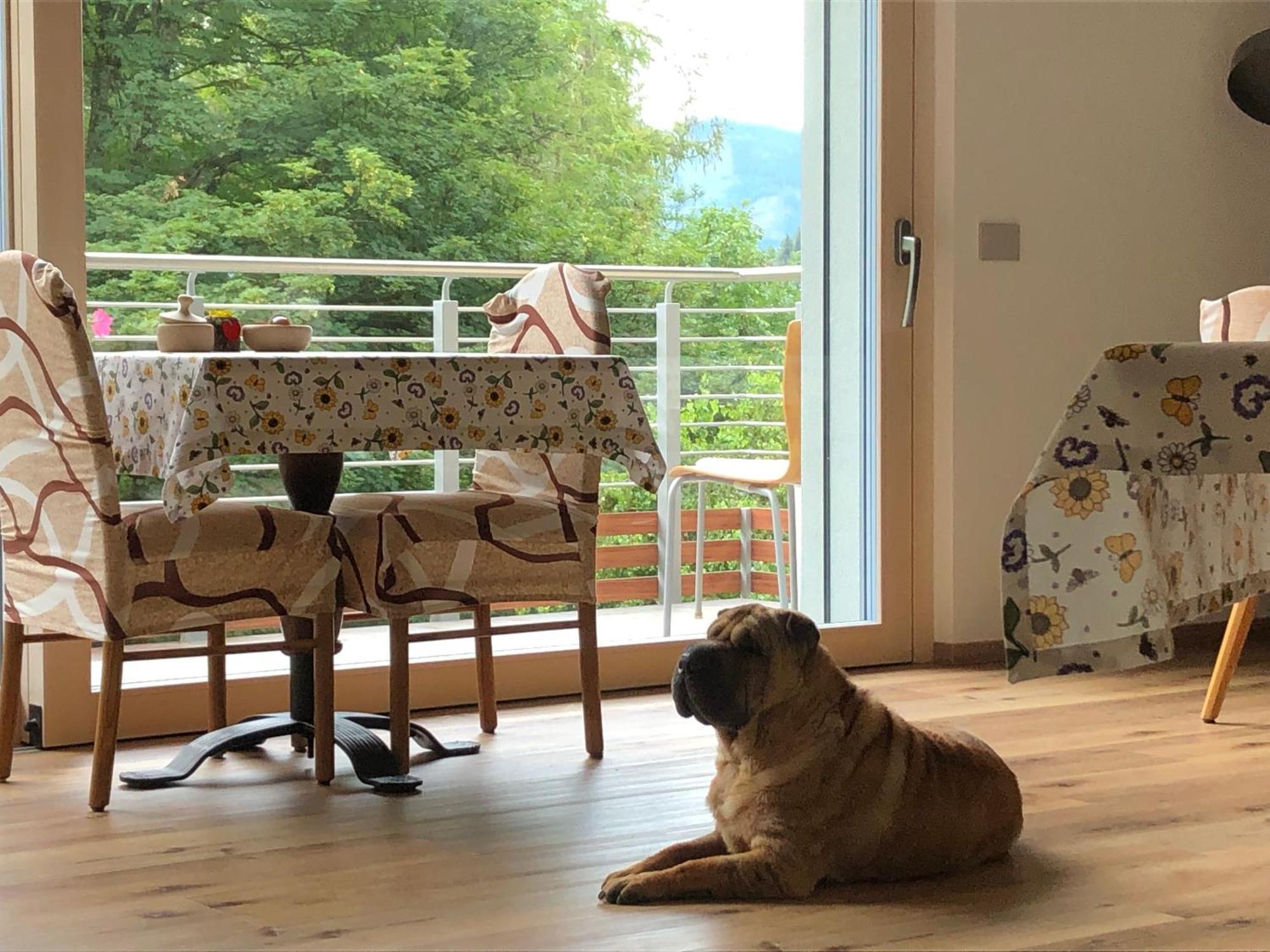 B&B Le Stagioni Di Stava Tesero Exteriér fotografie
